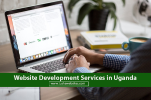 Website Development Services in Uganda