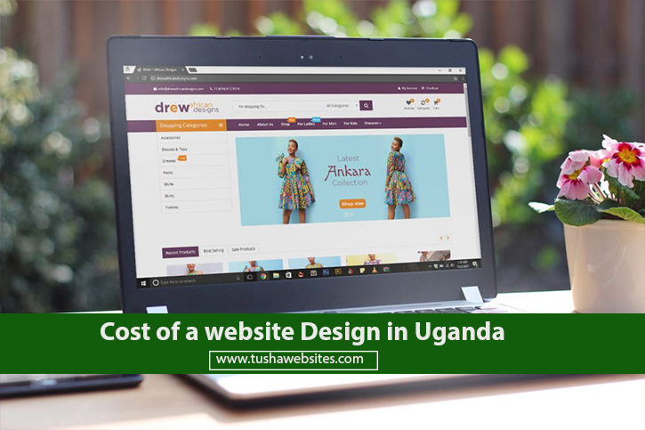 cost of a website Design in Uganda