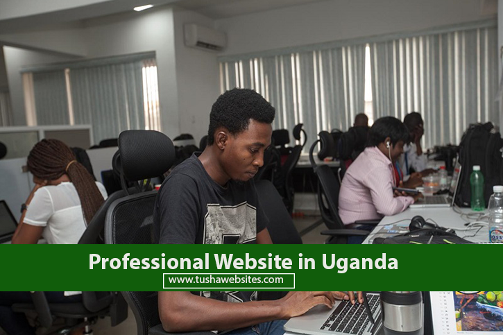 Professional Website in Uganda