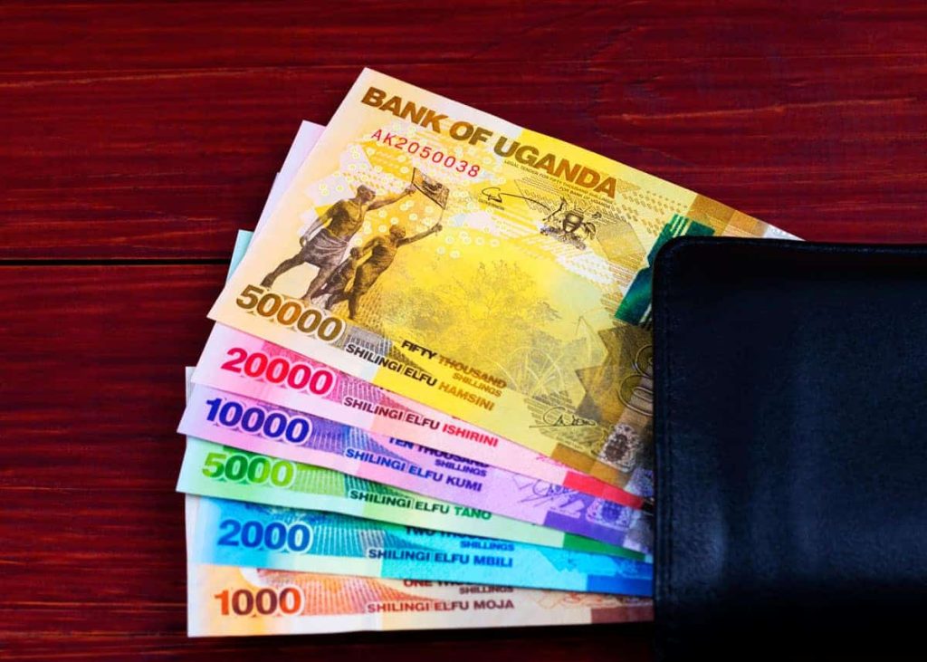 How to Make Money in Uganda